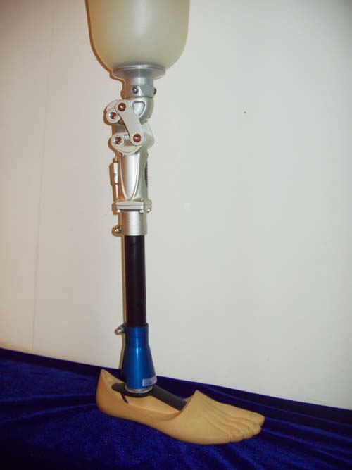 鎂合金氣壓膝（萬向踝）圖片 ，哈爾濱大楊假肢廠，假肢最好的安裝公司